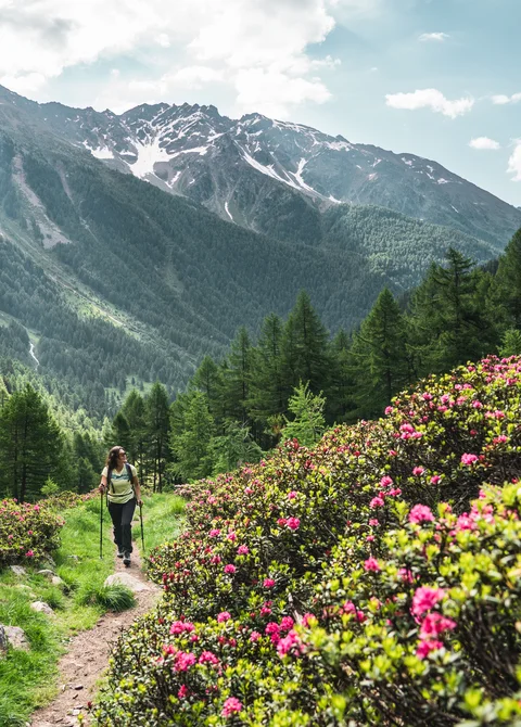 Inspirationen für Ihren Urlaub im Trentino | Tevini Resort Inspirationen für Ihren Urlaub im Trentino | Tevini Resort