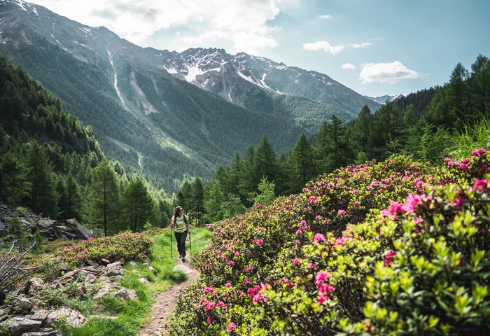 Neuigkeiten aus dem Trentino | Tevini Resort im Val di Sole Neuigkeiten aus dem Trentino | Tevini Resort im Val di Sole