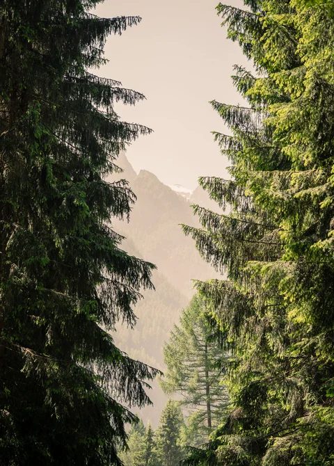 Inspirationen für Ihren Urlaub im Trentino | Tevini Resort Inspirationen für Ihren Urlaub im Trentino | Tevini Resort