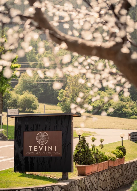 Inspirationen für Ihren Urlaub im Trentino | Tevini Resort Inspirationen für Ihren Urlaub im Trentino | Tevini Resort
