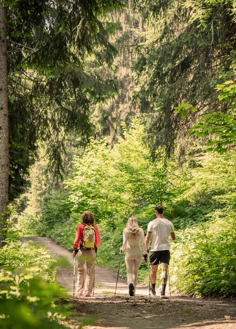 Inspirationen für Ihren Urlaub im Trentino | Tevini Resort Inspirationen für Ihren Urlaub im Trentino | Tevini Resort