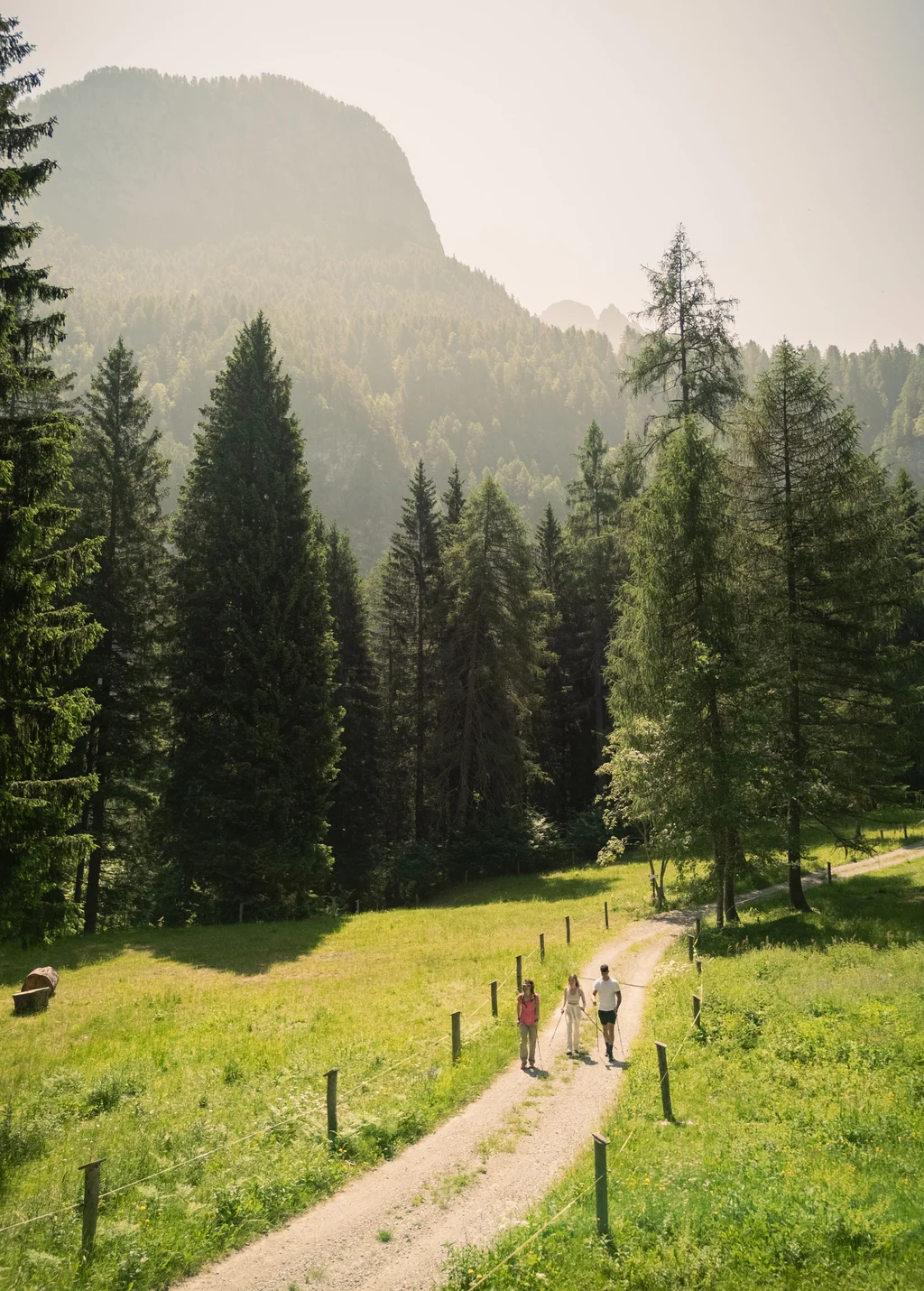 Tevini Resort 4★S | Hotel in Val di Sole near the Dolomites Tevini Resort 4★S | Hotel in Val di Sole near the Dolomites