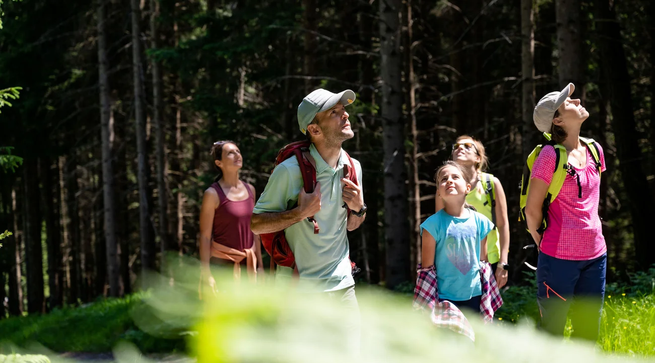 Aktivurlaub im Val di Sole | Outdoor-Erlebnisse im Tevini Aktivurlaub im Val di Sole | Outdoor-Erlebnisse im Tevini